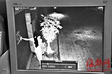 门上漆视频,揭秘门上漆的神奇工艺